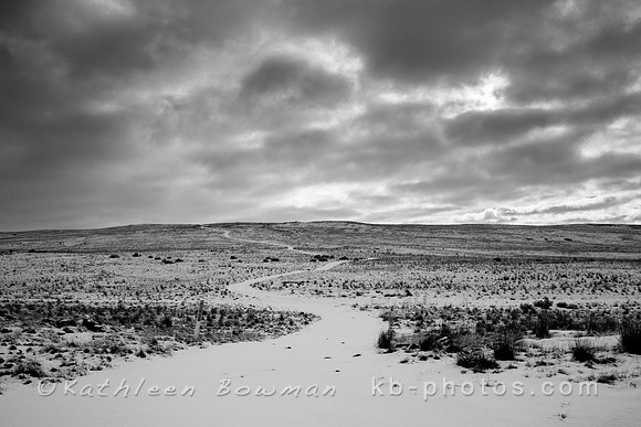 20151224-_MG_4914