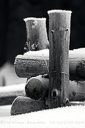 Frozen Fence