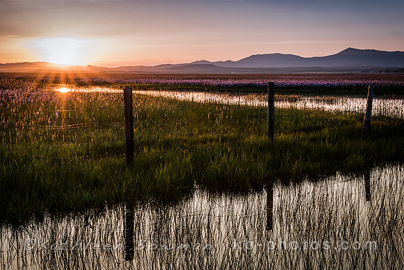Centennial Marsh at Sunset