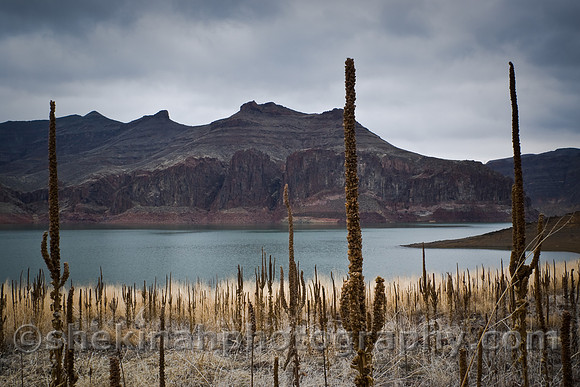 "Lake Owyhee"