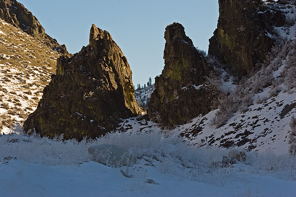 Winter scene