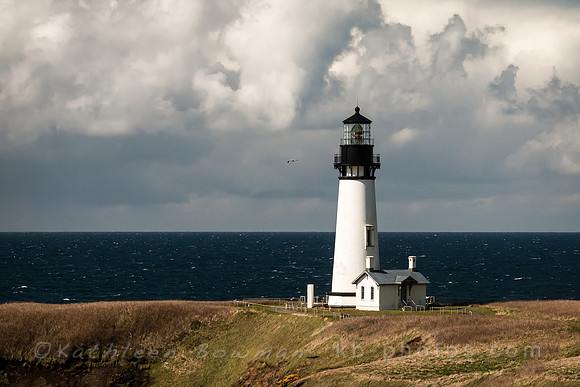 Yaquina Head Lighthouse