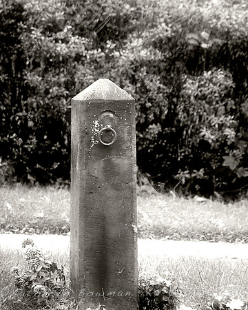 Aged Hitching Post