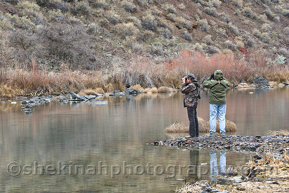 Birders