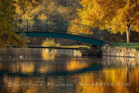 Morning Fall Reflections with bridge and pond