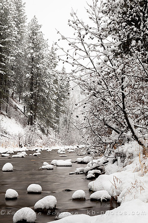 Winter at Robie Creek