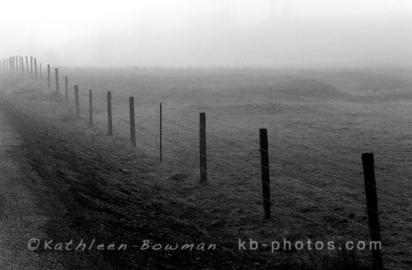 Fence in Fog