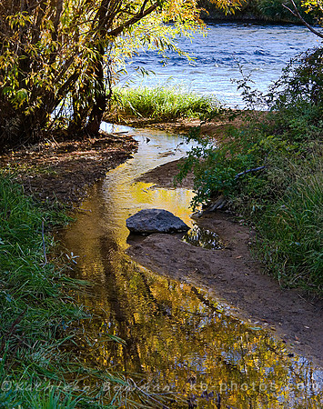 Indian Creek Reflections